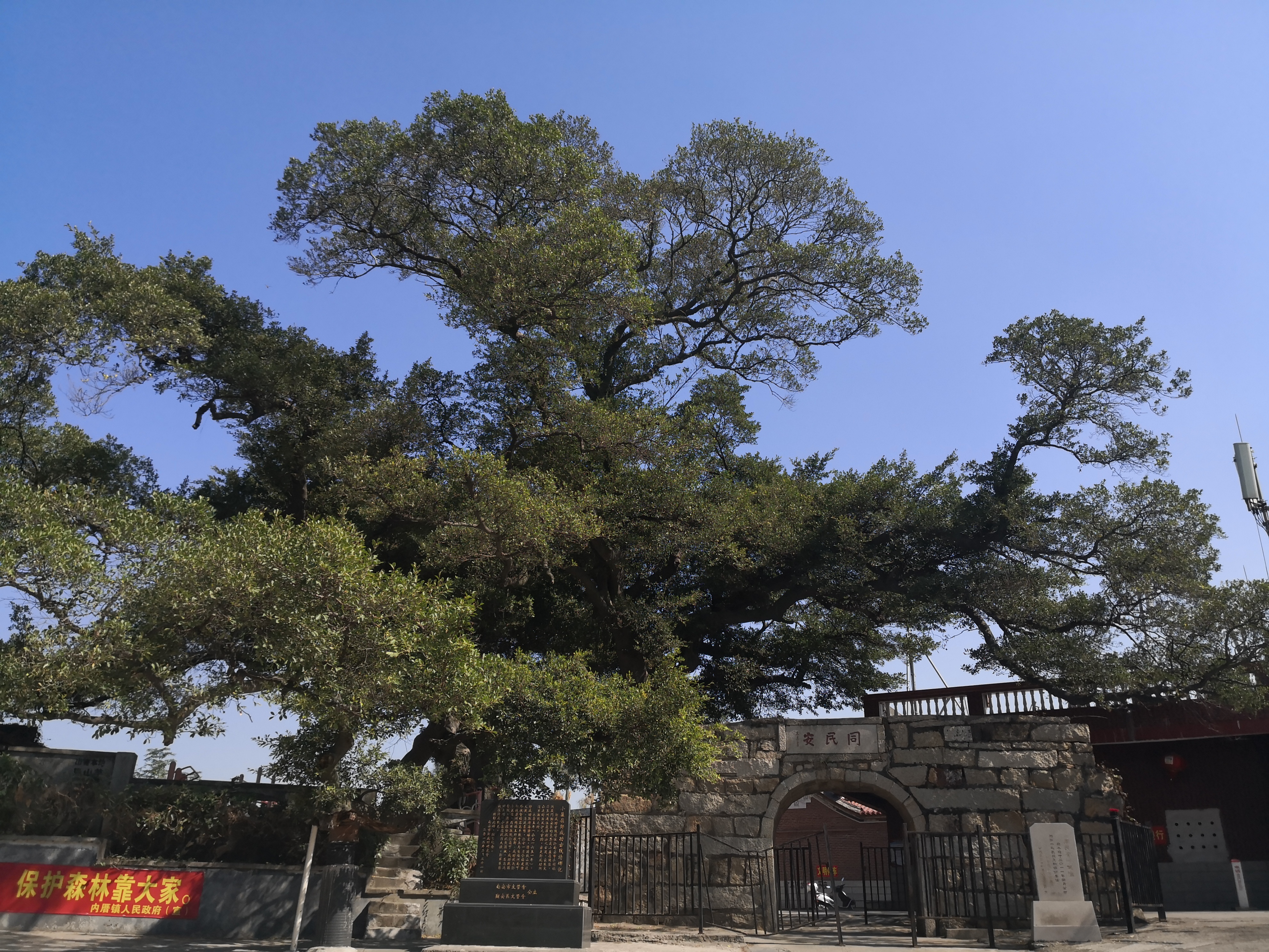 鍚屽畨鍗冨勾鍙ゅ煄,鍘﹂棬鍚屽畨鍙ら晣鍙ら亾