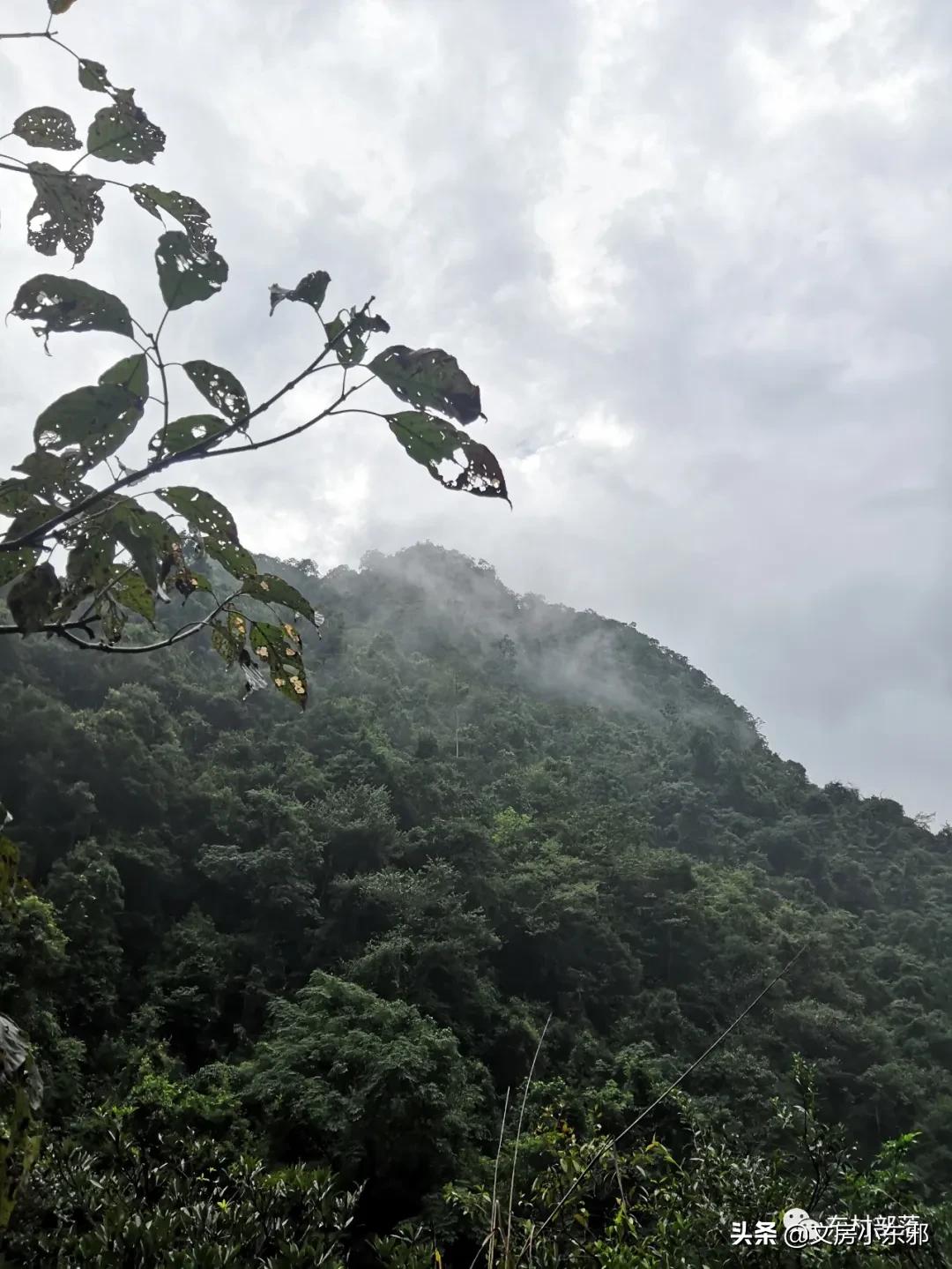 广西河池照片,广西河池图片大全