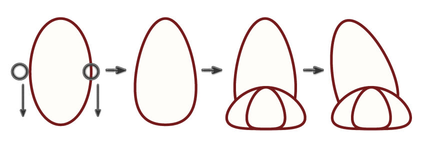 adobeillustrator怎么做毛绒小鸟,adobeillustrator画动物