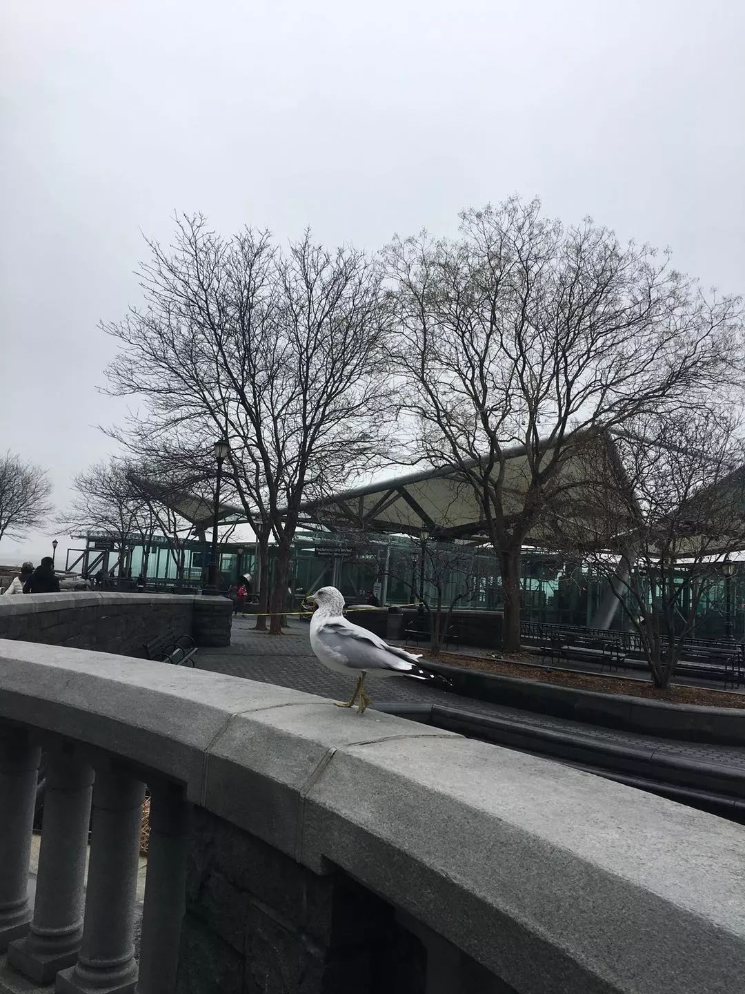 了解美国纽约,美国纽约城市全景