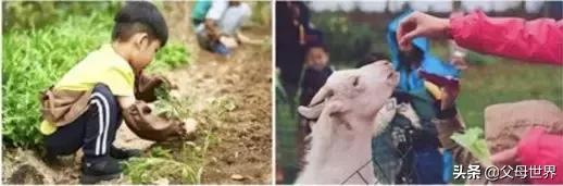 一年一度的儿童节即将到来,今年的儿童节