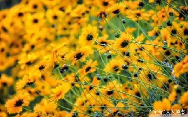 一念放下万般自在经典语录,一念放下万般自在视频