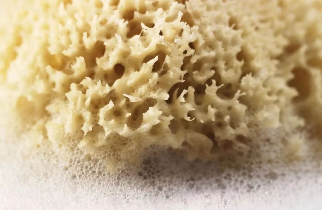 Vol.122去法国，如果不买奢侈品，我们还能买些什么？