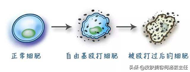 为什么有的人特别的抗氧化,抗氧化到底应该用什么