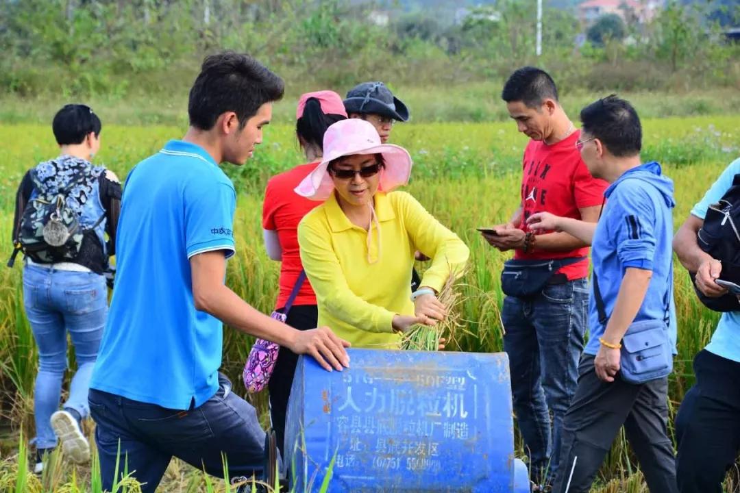 中农富玉大事记,中农富玉未来发展趋势