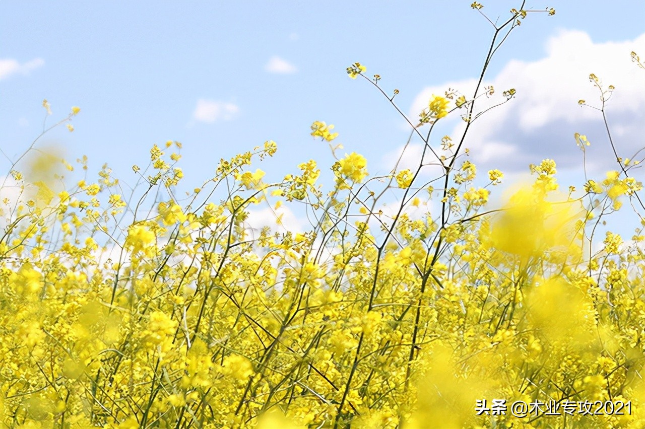 机房如何布局,机房怎么操作呢