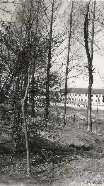 杭州文教区房价,杭州大学城北为什么房价那么高