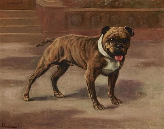 长颈鹿如何进化,长颈鹿如何从矮变成高