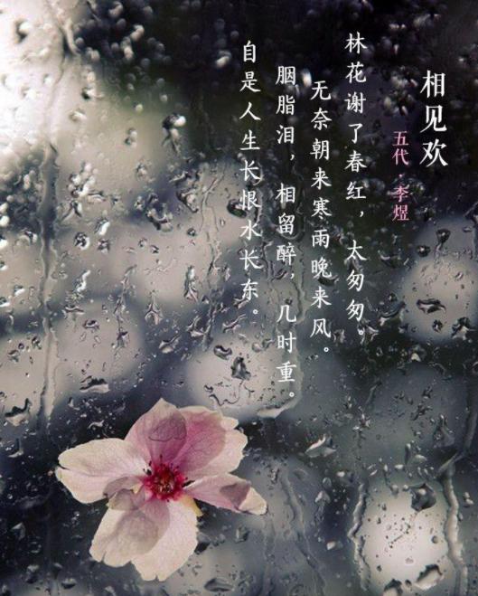 经典唐宋词百首,唐宋词大全100首