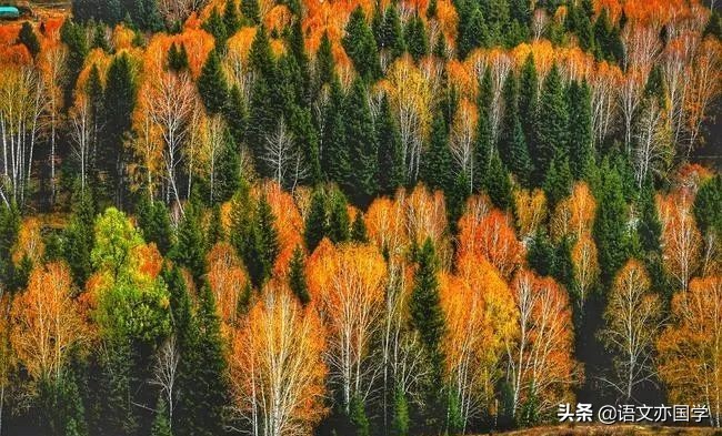 《改造我们的学习》《人的正确思想》《实践》群文教学设计2