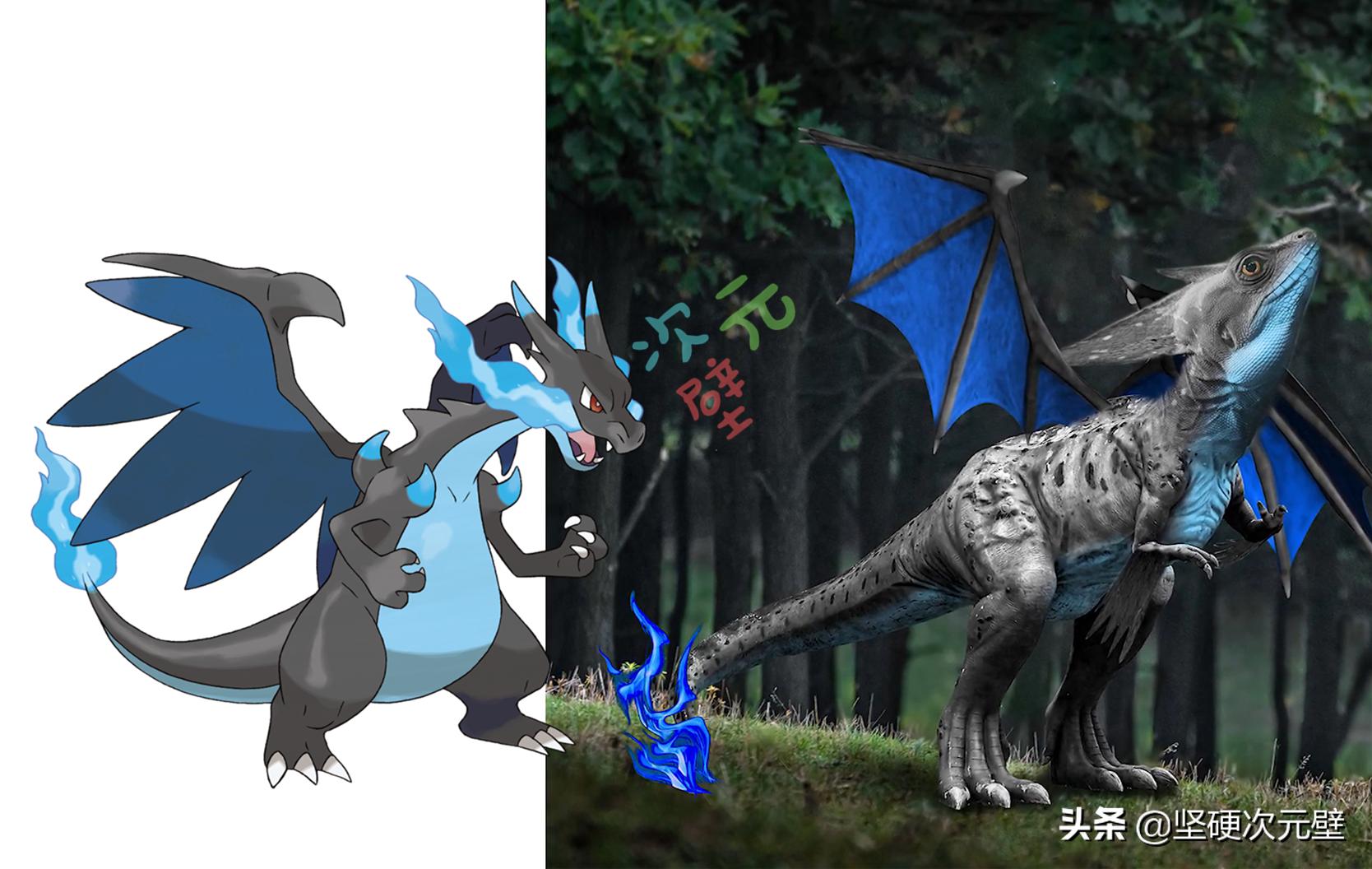 神奇宝贝喷火龙的进化史中文版,神奇宝贝火恐龙进化成了喷火龙