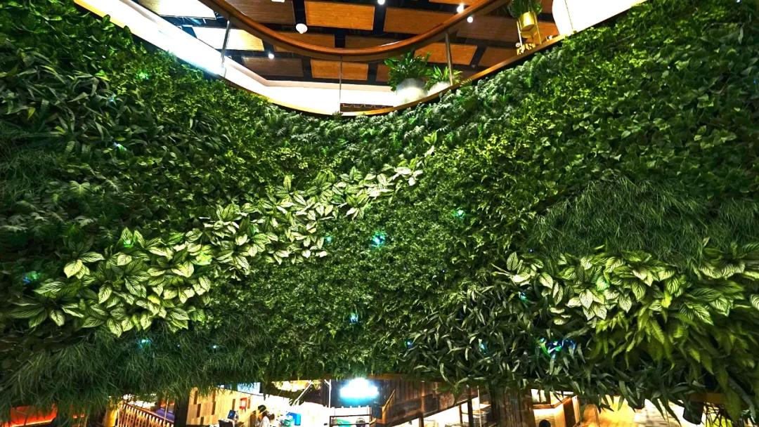 香港最大商场购物实拍视频,香港顶级商场视频