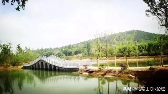 安徽十大强县当涂县,安徽61个县人均经济排名