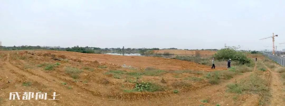 大运村建设火热朝天，成都大学已经上天