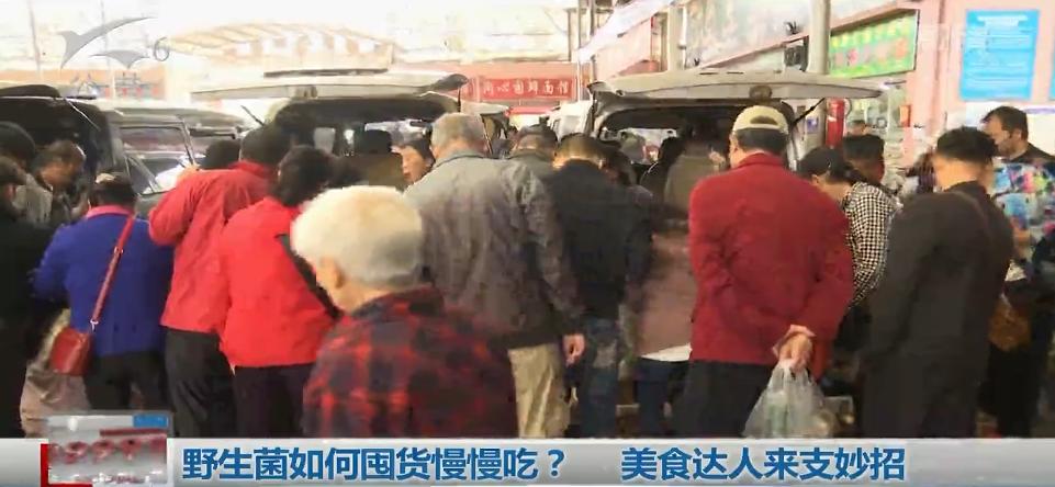 野生菌怎么吃比较好,云南野生菌怎么携带不会坏