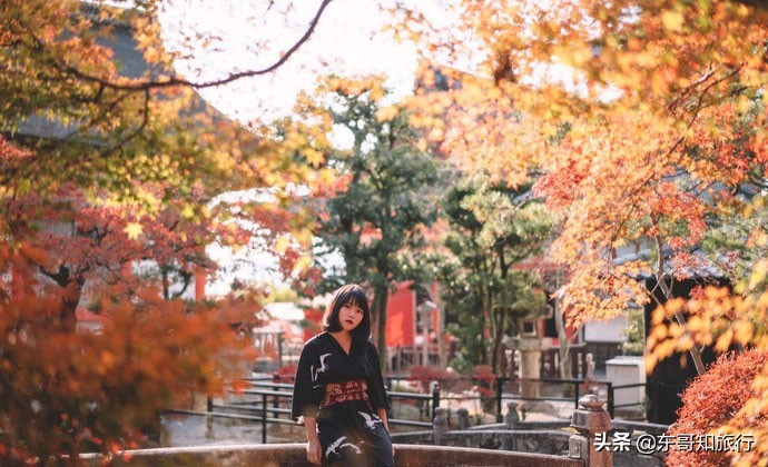 日本京都逛寺庙,京都有什么玩的