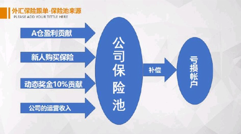 海汇国际外汇保本操作真的存在吗,海汇国际外汇模式