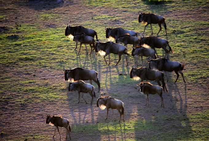 旅行攻略·肯尼亚:跟随《狮子王》震撼你的视觉,哈库拉,玛塔塔