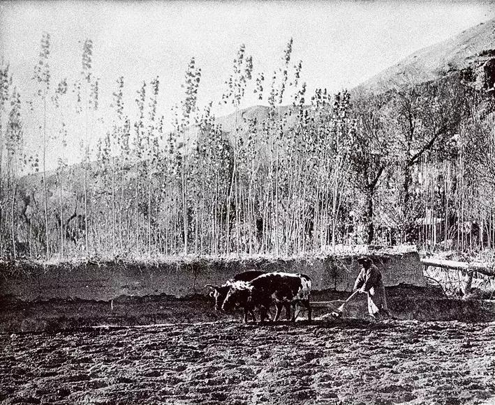 敦煌劫｜藏经洞的封闭：黑韩王朝血战攻灭于阗王国的结果？