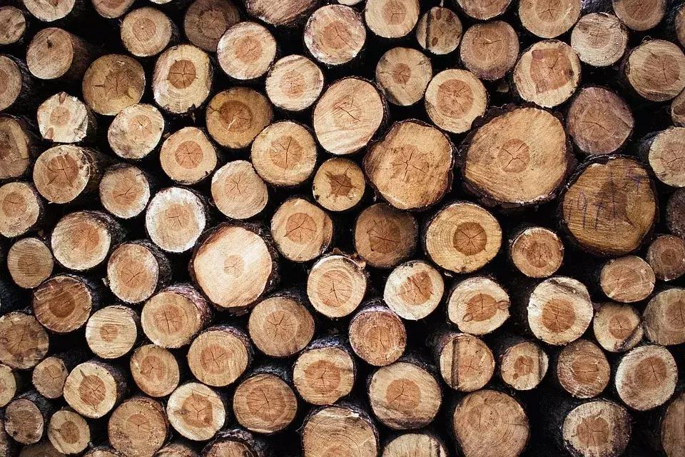 新家具气味难闻怎么快速去除,新买家具去异味的最好办法最快