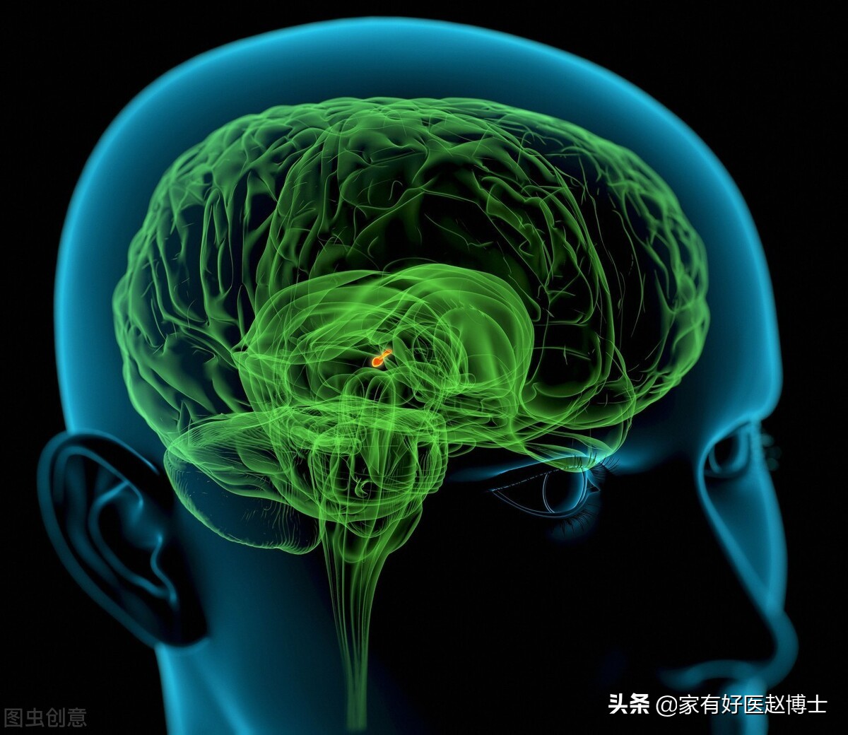 被称为“生理助眠剂”的褪黑素普通片,为何不少人口服效果不佳?