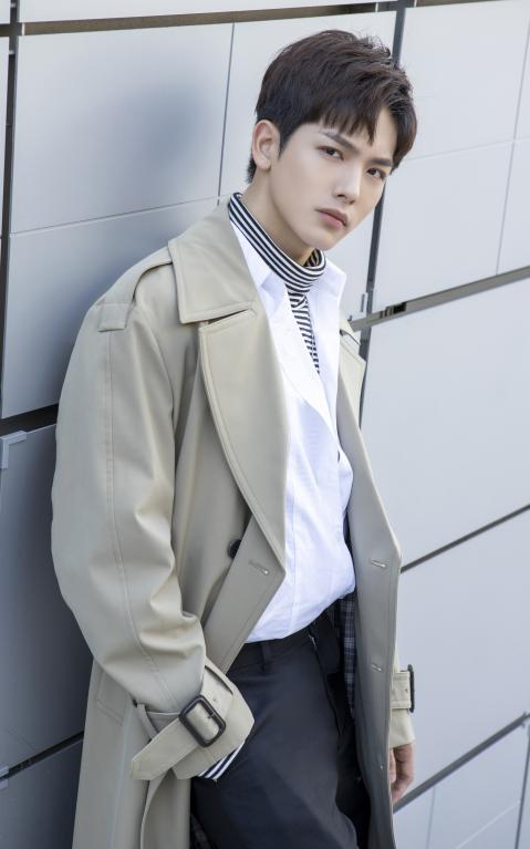 关爱流浪动物狗,关爱流浪动物活动