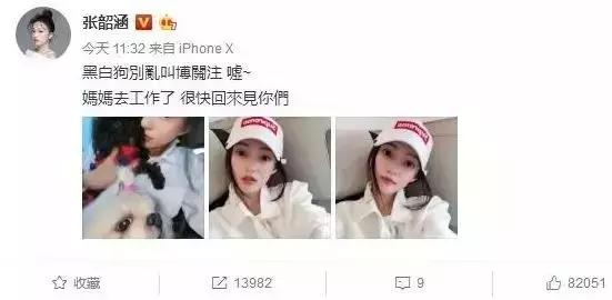 塑料姐妹互撕名场面,大型塑料姐妹情互怼现场