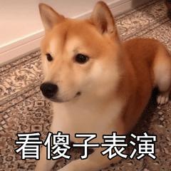 同学生活中搞笑的段子,同学录幽默搞笑段子