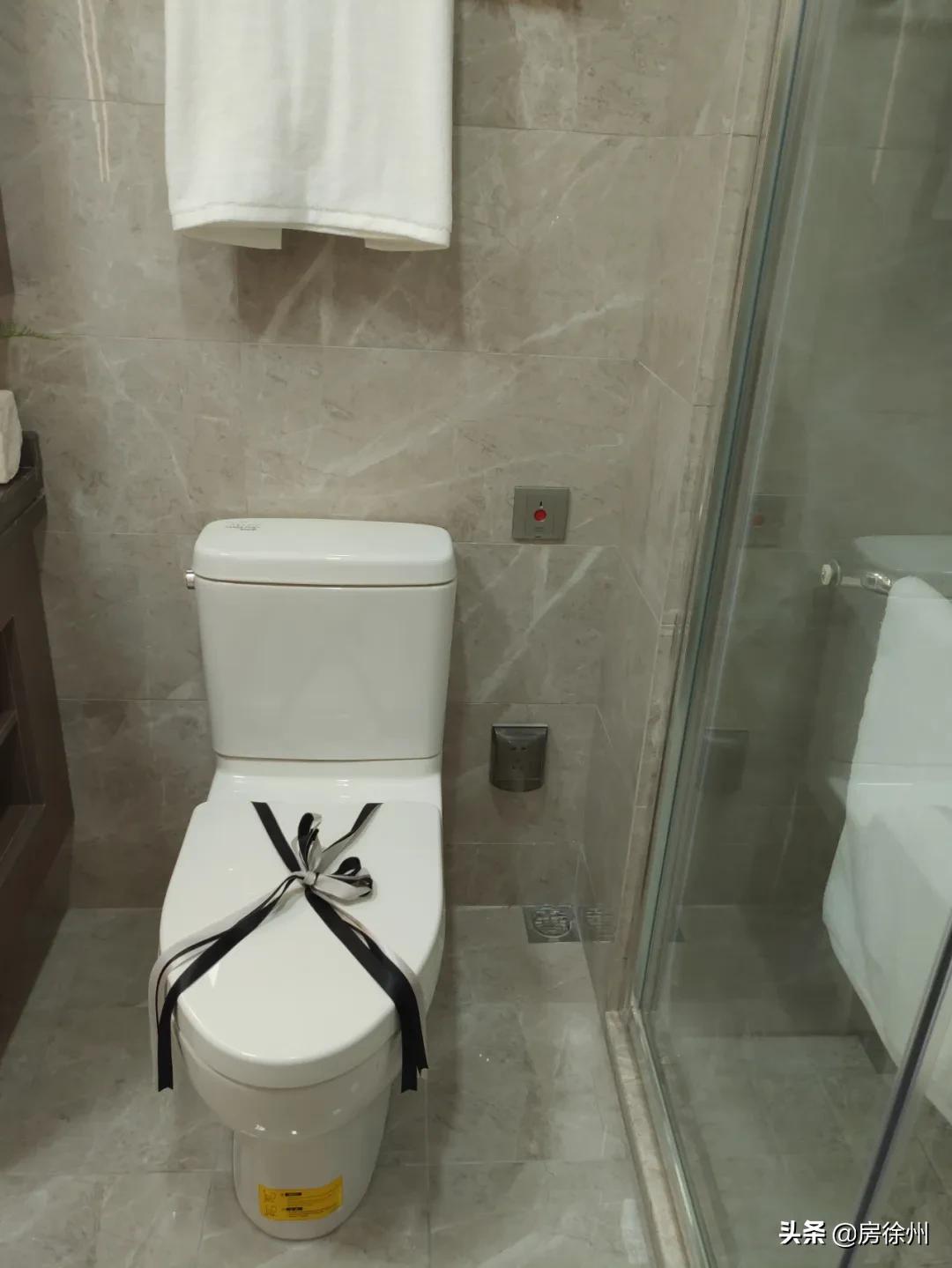 徐州鼓楼区绿城诚园110户型,徐州天宸和绿城诚园哪个好