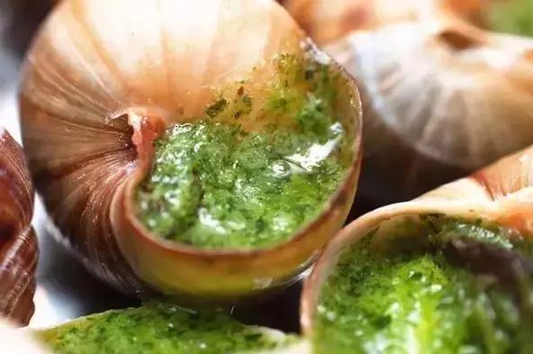 最大蜗牛入侵我国,南方到处是:非洲人的美食,中国人却不敢吃