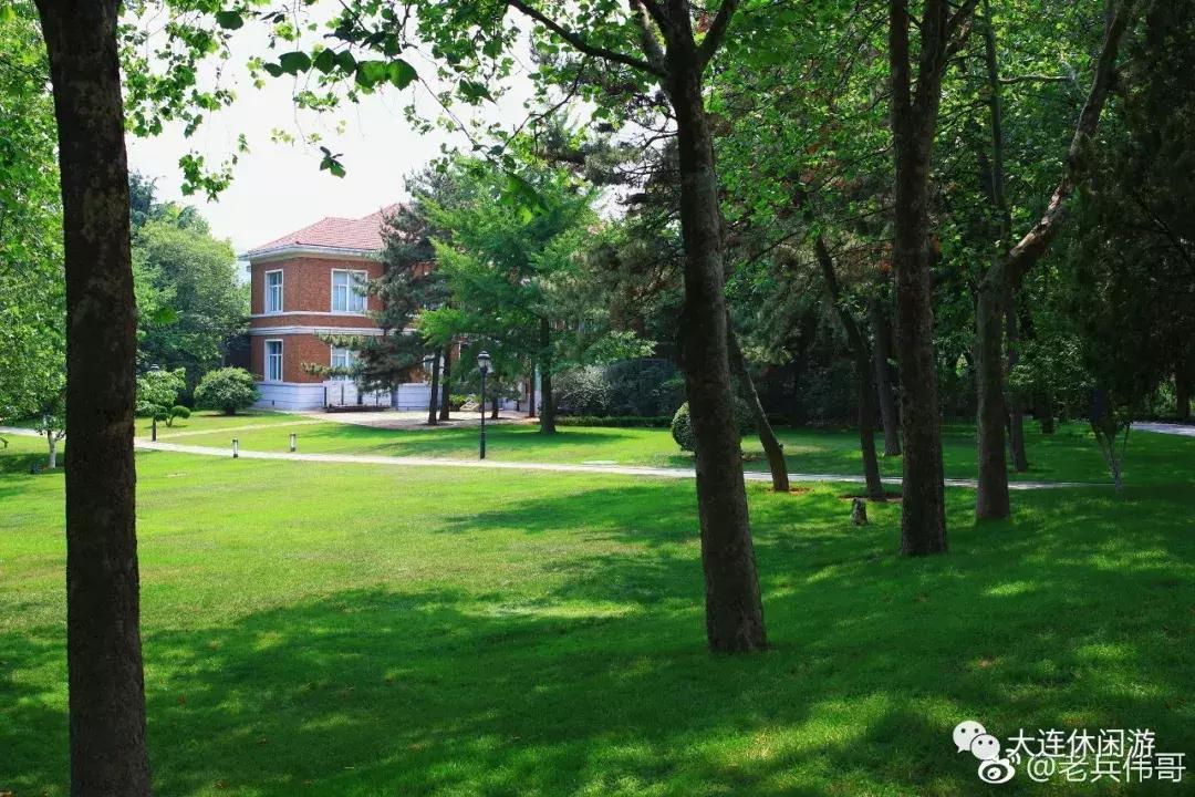 大连的沙滩哪个最好玩,大连十佳海滩排名