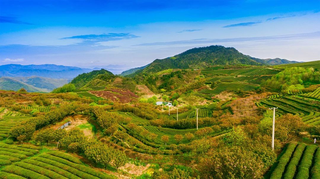 山如碧浪翻江去译文,山如碧浪翻江去下一句