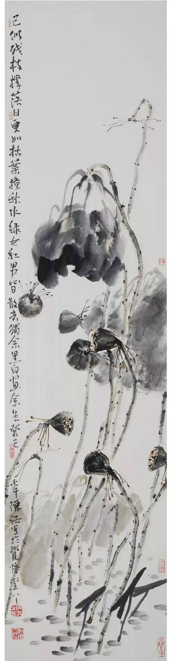 陈浩：卷舒开合任天真