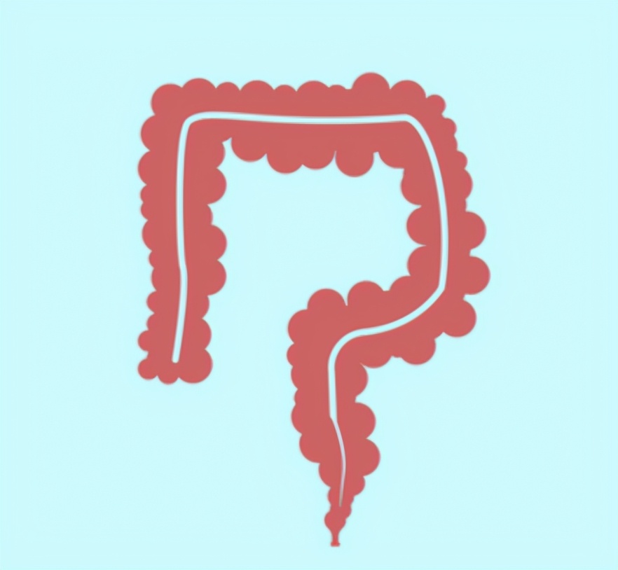 吃进肚子里的食物怎么排出来,宝宝瓜子壳吃进肚子里怎么消化