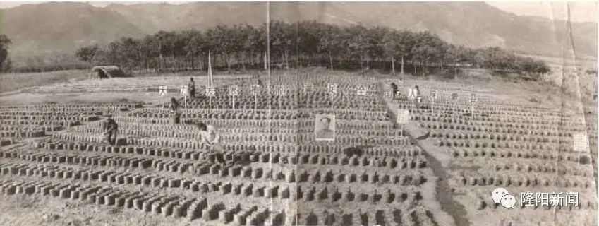 家乡美正背面分解,家乡美农业生态园