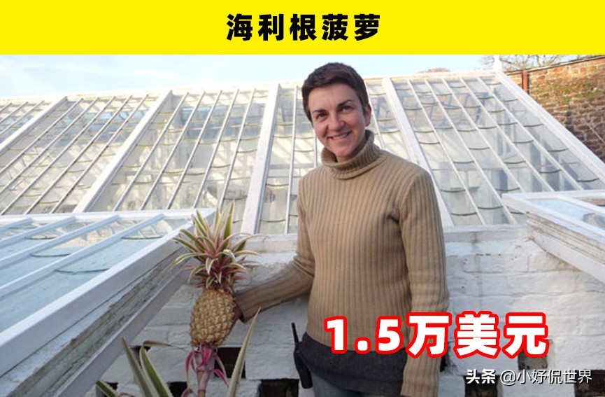 通常只有土豪才买得起的9种昂贵的水果