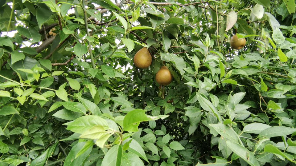 昆明练竿塘探钓,昆明练竿塘钓场推荐