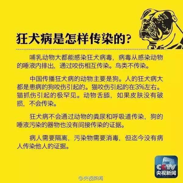 猫抓伤破皮没出血用打狂犬病针吗,潜伏期的猫抓伤人会导致狂犬病吗