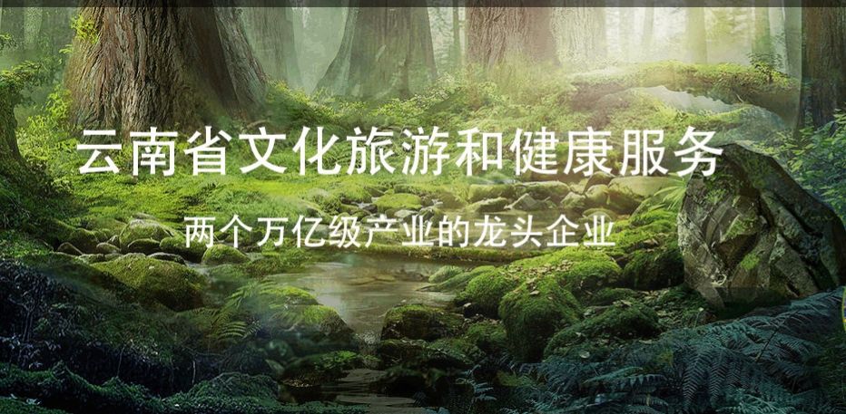 负债率98.5%，背靠强劲大股东，省级城投，ST云城，能否凤凰涅槃