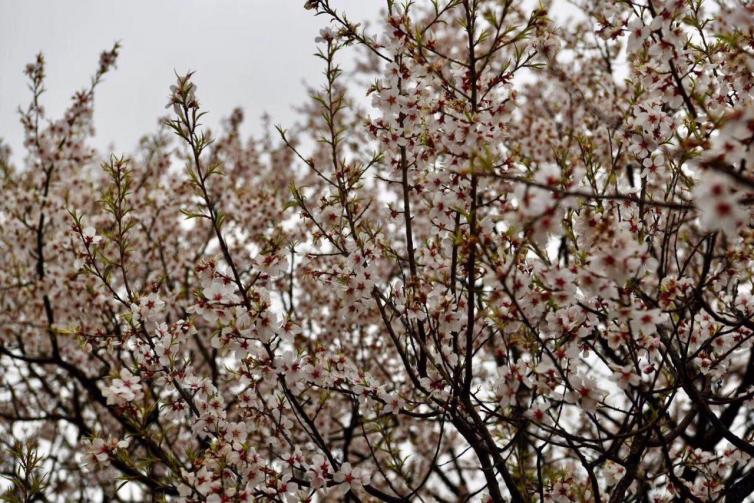乐山到桂林自驾游最佳路线,广西桂林到云南自驾游路线