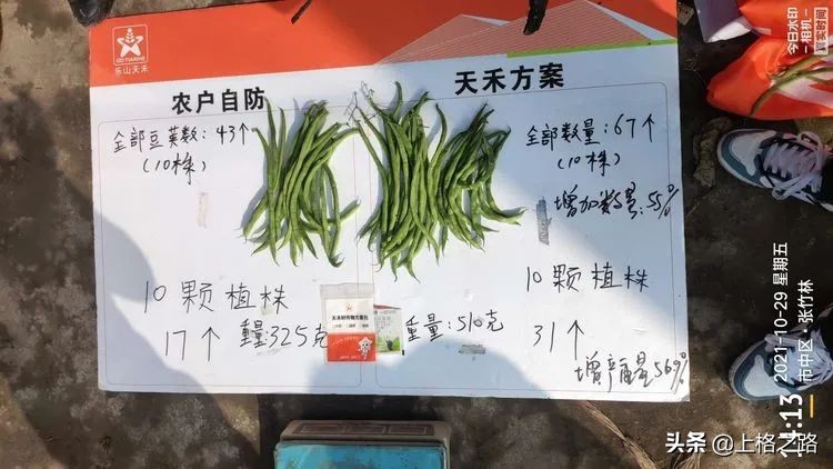 天禾宝赢套装为农作物的丰收保驾护航