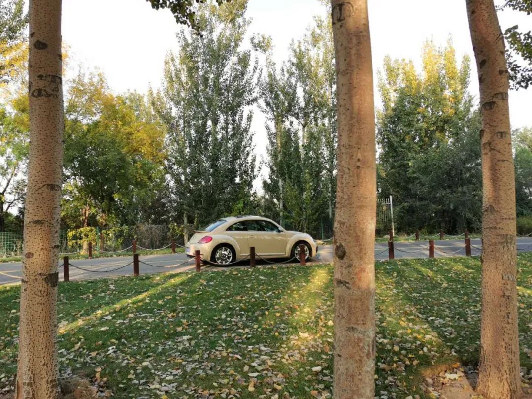 聊一聊大众适合家用的车,大众甲壳虫汽车价格测评