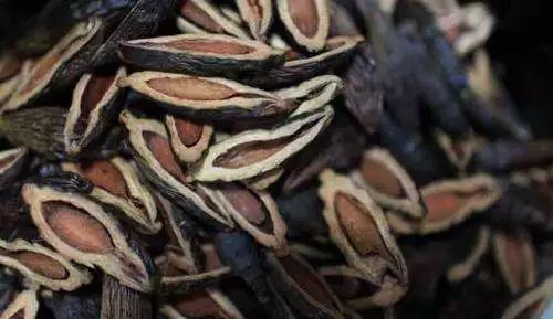 软性毒品和正在上瘾的区别 (软性毒品会上瘾吗)