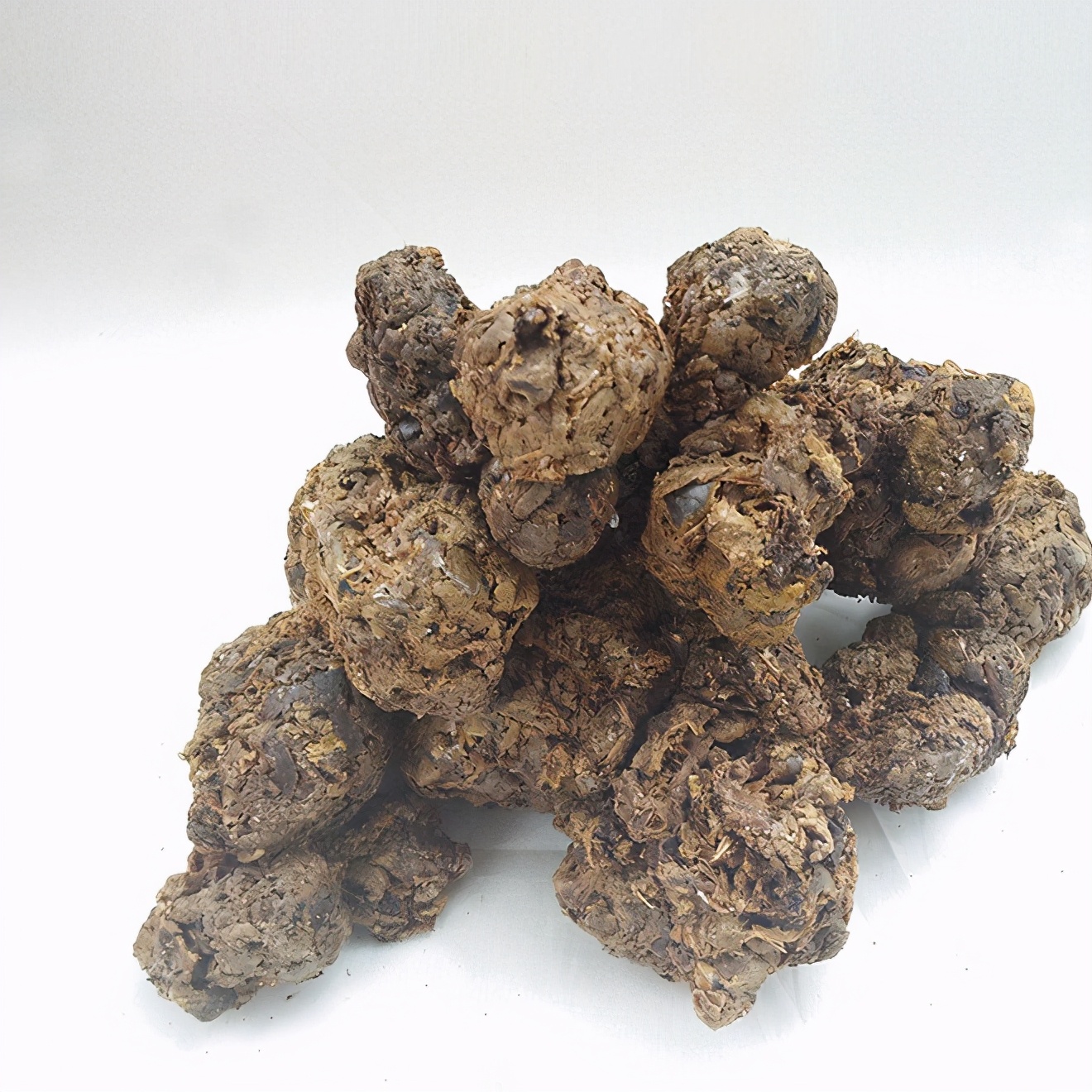 蜜蜂蜂王浆蜂胶蜂花粉的区别,蜂蜜和蜜蜂分不清