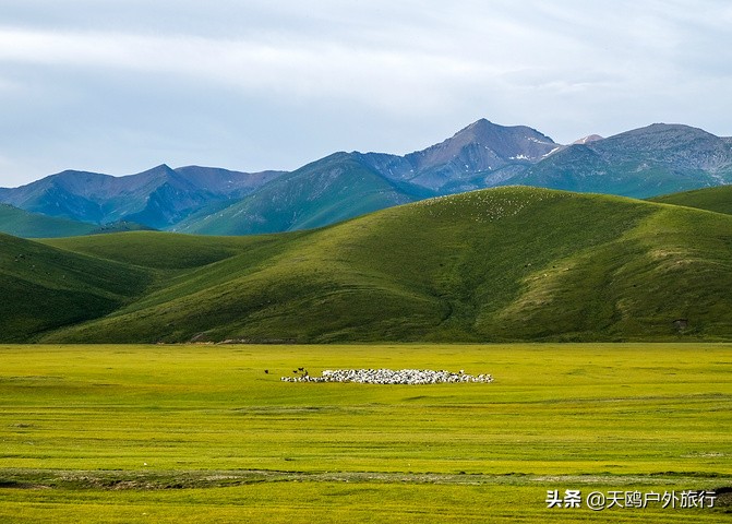 巴音布鲁克草原的特色,巴音布鲁克好吗