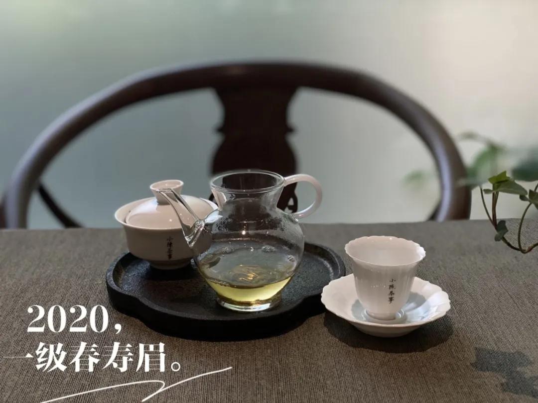 为什么白茶煮出来会苦,为什么白茶泡着不好喝焖好喝