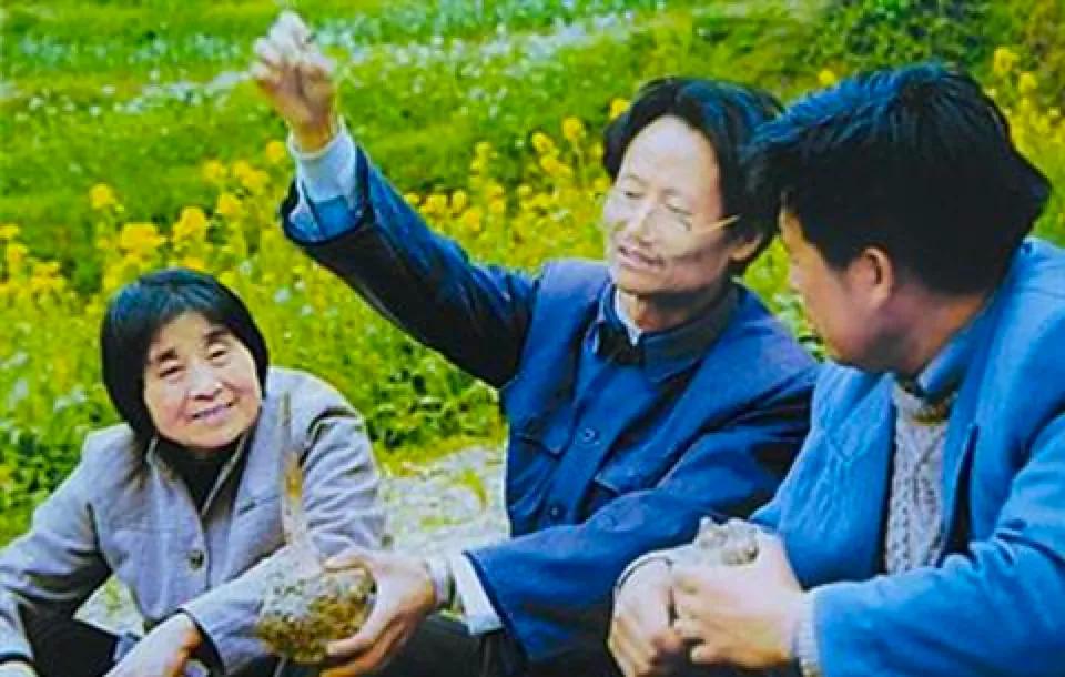 被打的老教授,吃饱的中国人