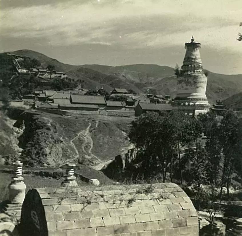 你可能没见过的姓氏,你可能没见过的日语