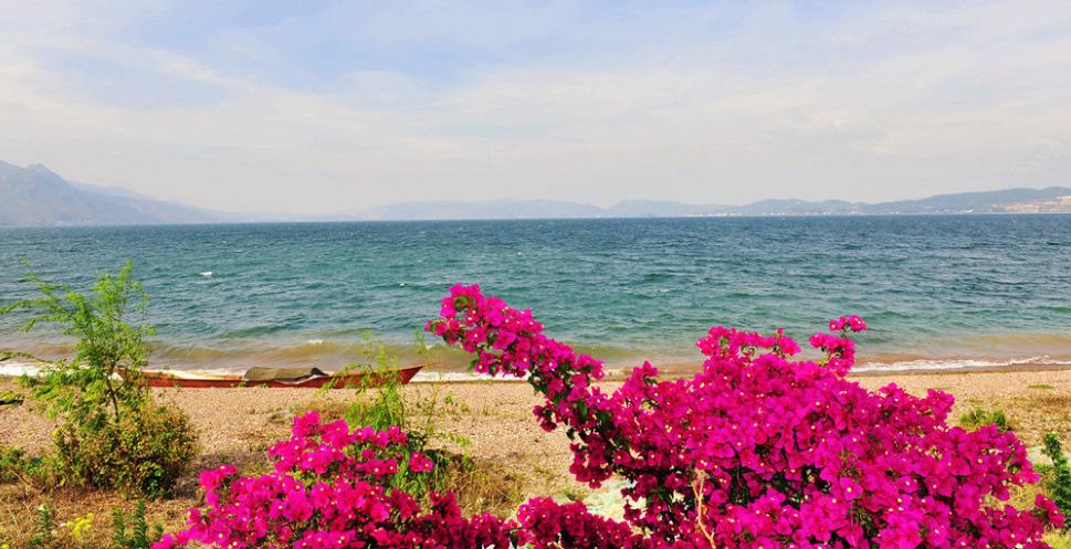 云南澄江民间苗族情歌,郎有情来妹有意,唱着浓浓的乡间爱情