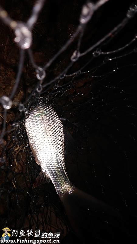 潮州登塘镇附近免费钓鱼,游钓潮州